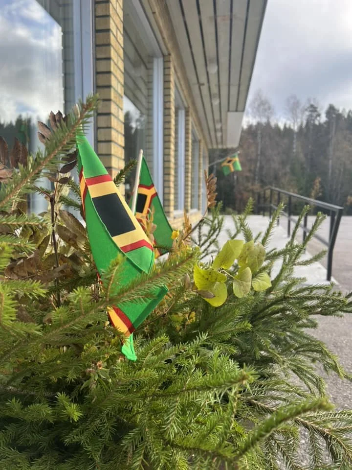 handflagg2.jpg
