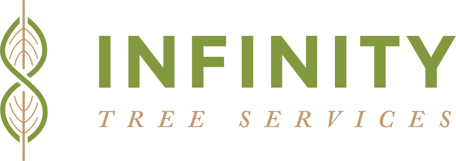 Infinity Tree Services