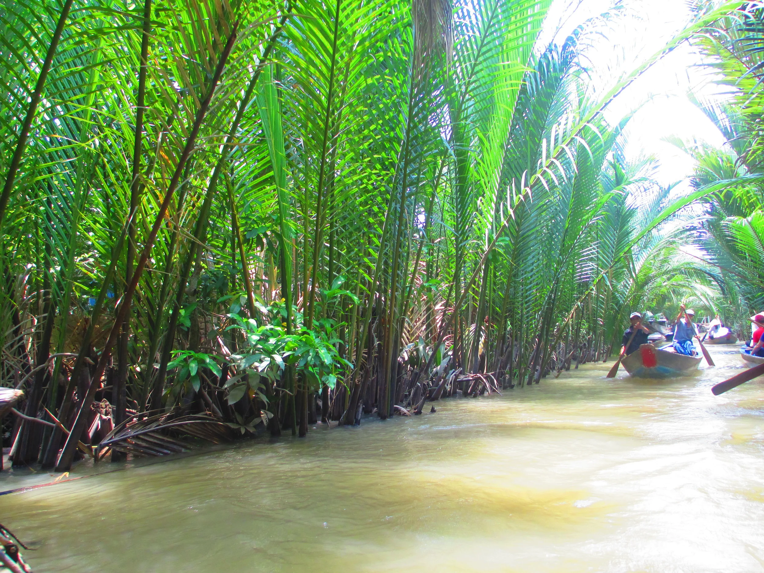 Mekong Delta, Vietnam