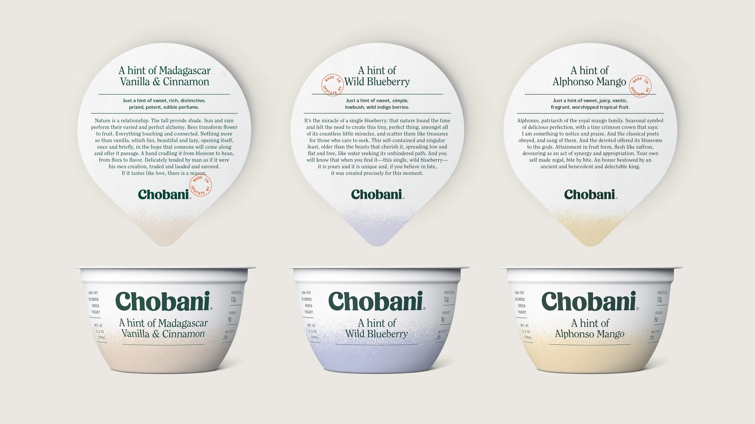08649_WritingForDesignPackaging_ChobaniHint.jpg