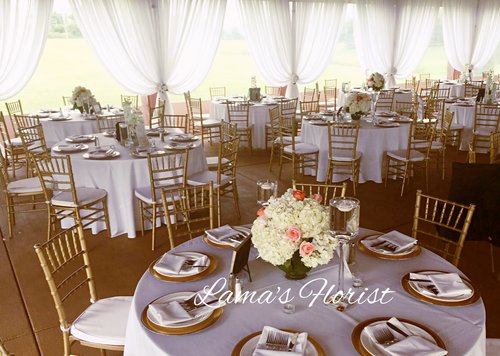 Weddingsbylama, business photo 3