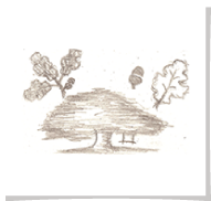 GOV_sketch_V1.png