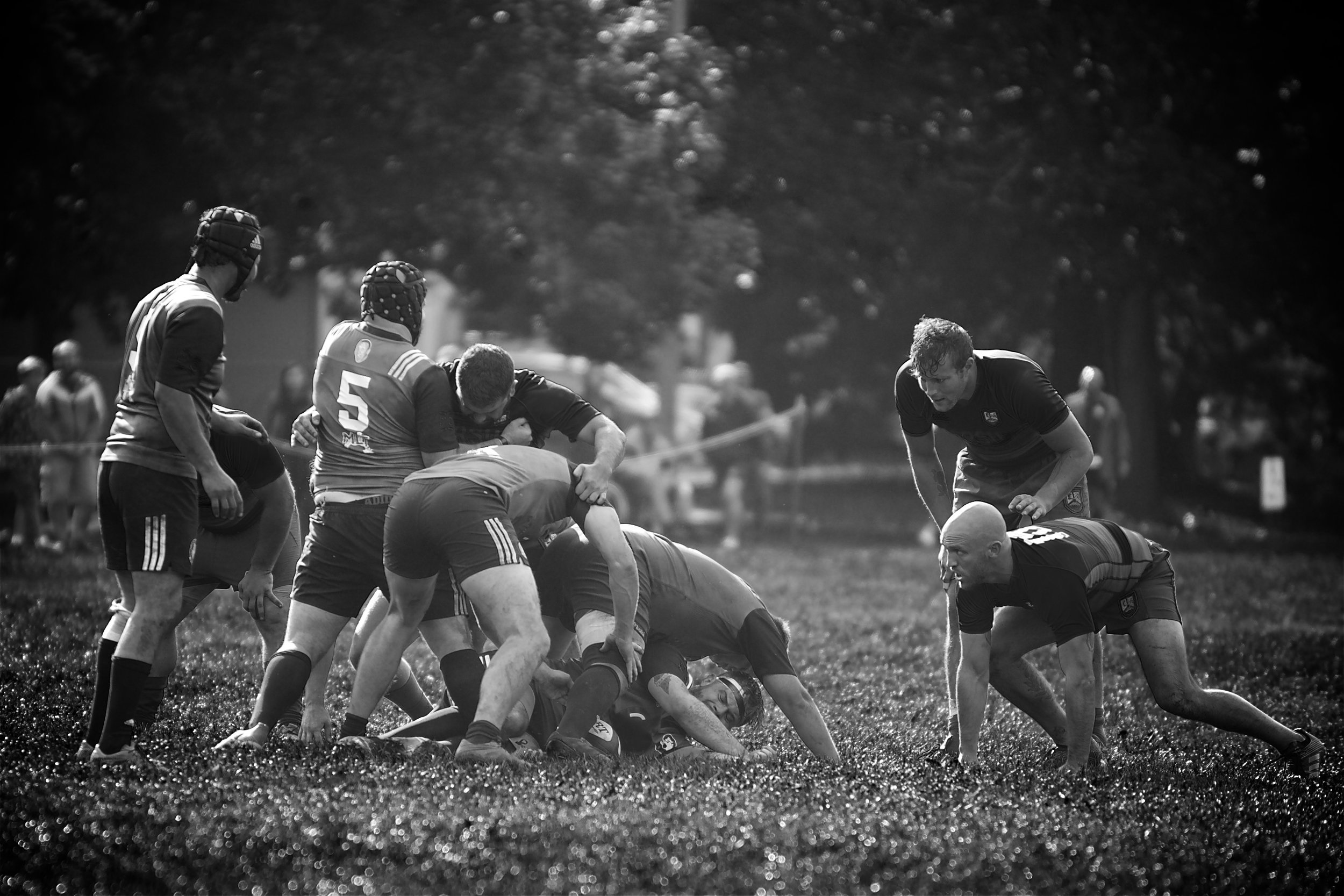 ORSU-Rugby-Portland.jpg
