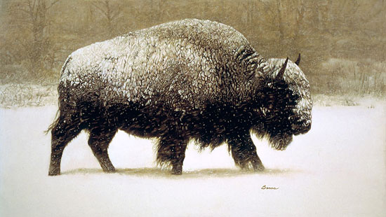 How We Got Here - Part 3: Buffalo Hunting