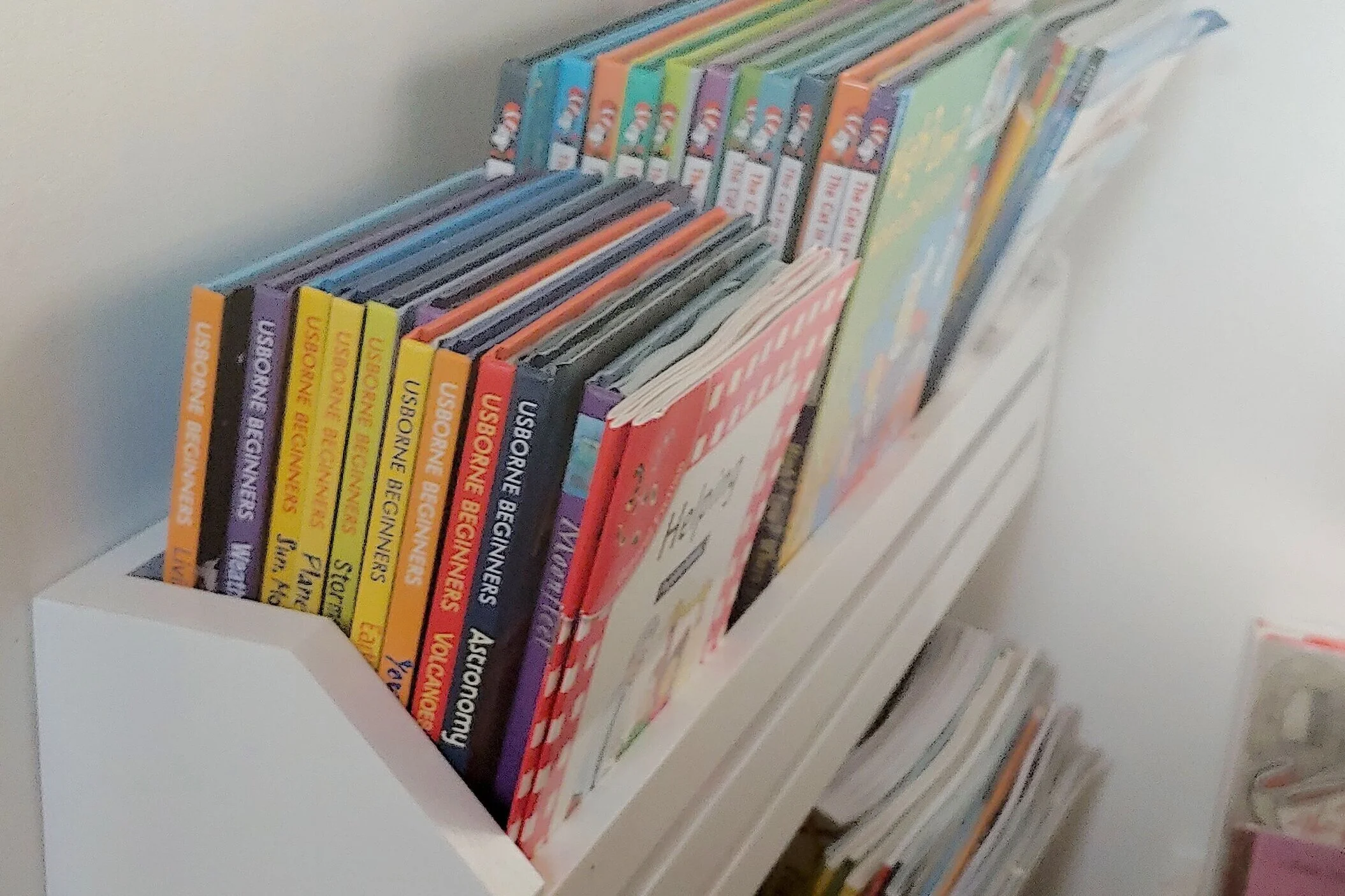 Starting a New Chapter with Wolf's Library