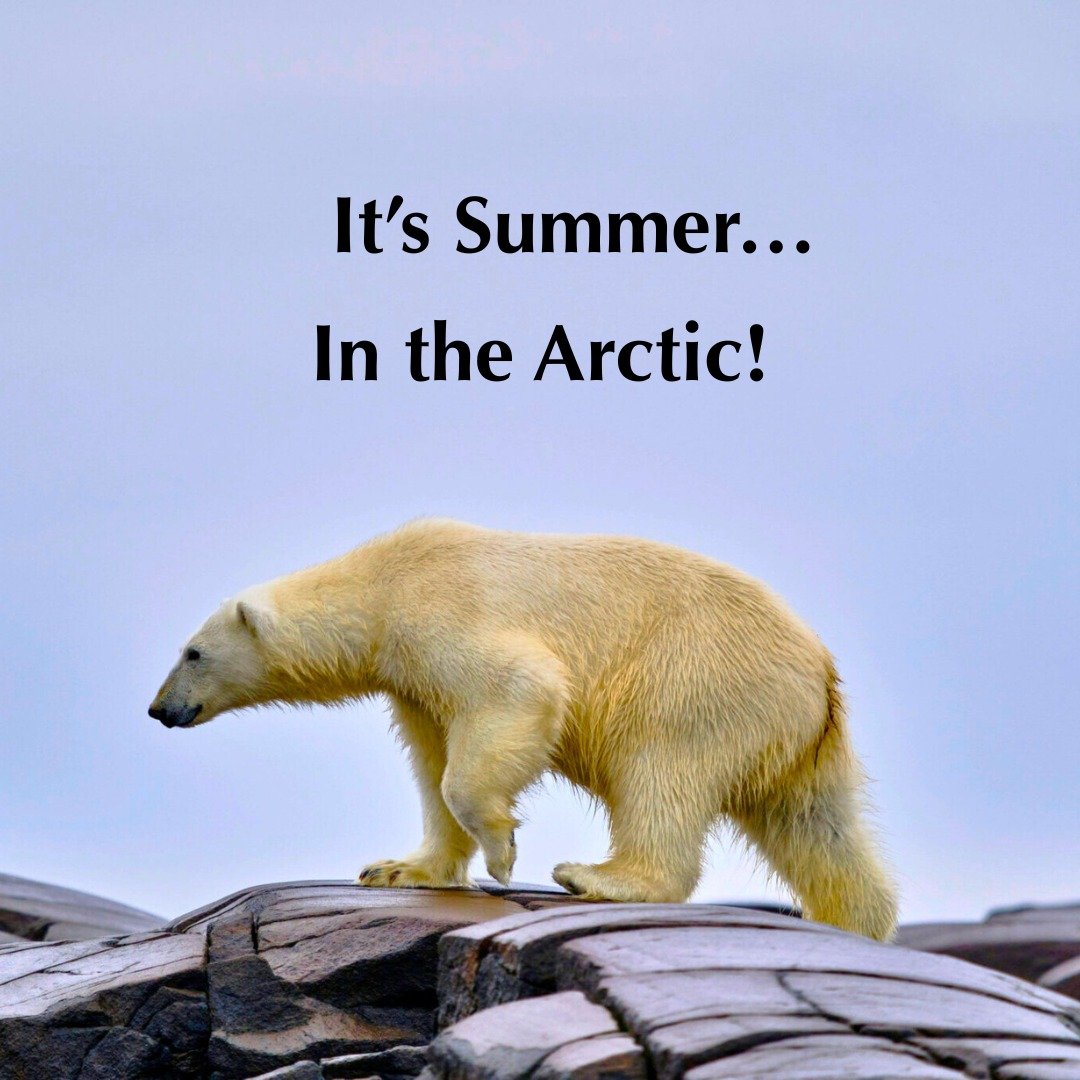 It&rsquo;s Summer&hellip; In the Arctic!

While the rest of the world swelters, the Arctic comes to life:

🌞 24-hour daylight
🌞Breaching whales and curious walruses
🌞Puffins nesting on remote cliffs
🌞Zodiac cruises past glaciers and blue icebergs