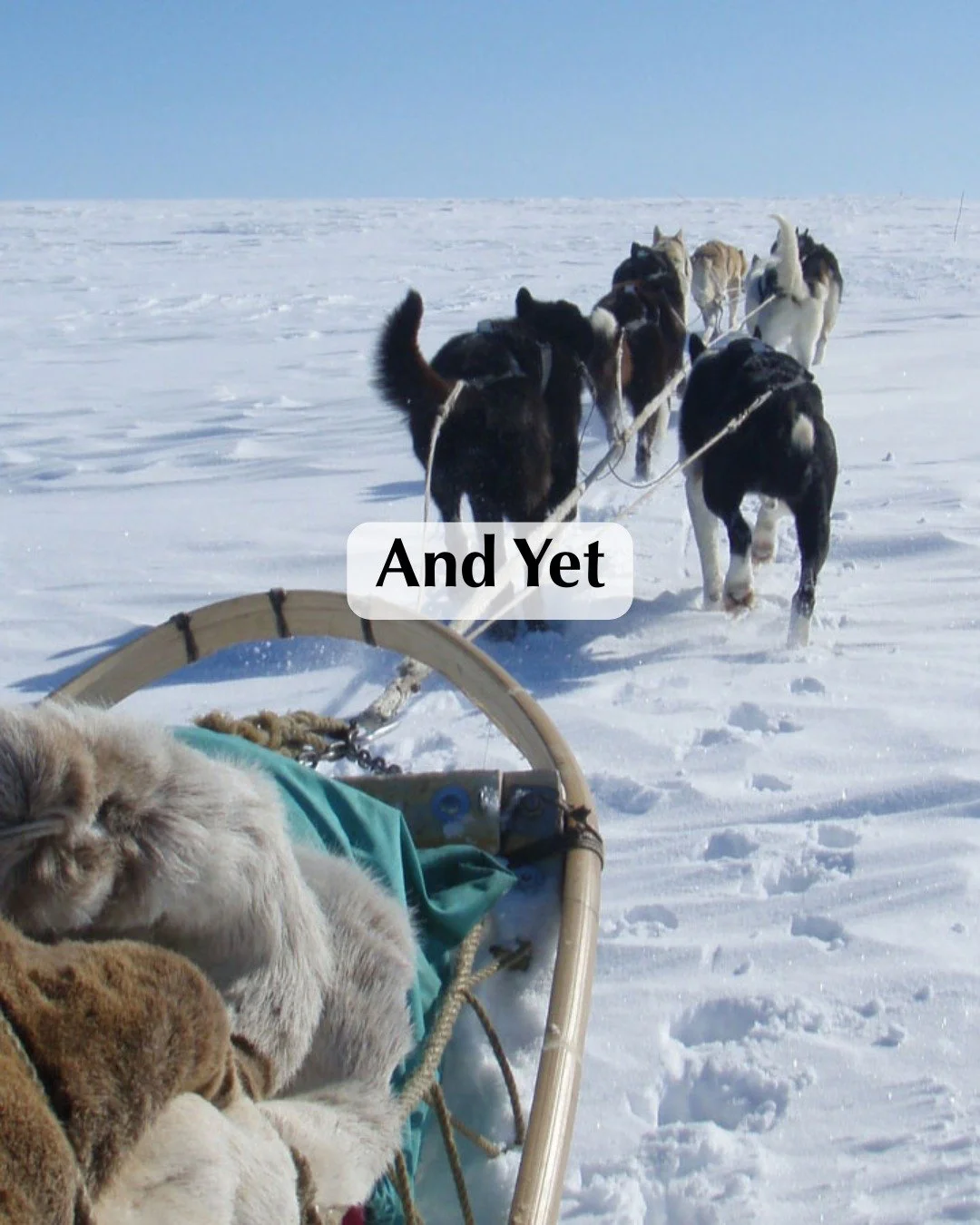 My husband has a milestone birthday coming up next year, and I’m planning something extra special.
We are heading to the far north of Norway for a week-long dog sledding trip.
It will be cold.
We’ll be mushing our own sleds.
We’ll