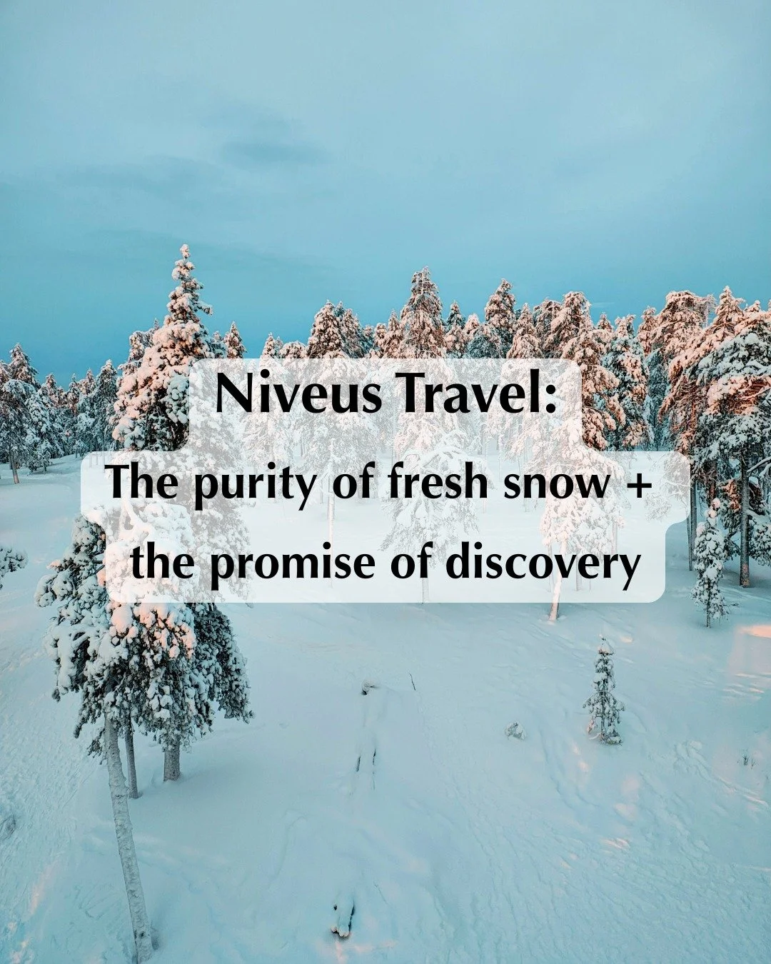 &ldquo;Niveus&rdquo; means snowy white in Latin. 

To me, it represents that first step into fresh snow. 

The quiet crunch. 
The breath of cold air. 
The feeling of making your own track in a place that still feels wild and new.

That is what inspir