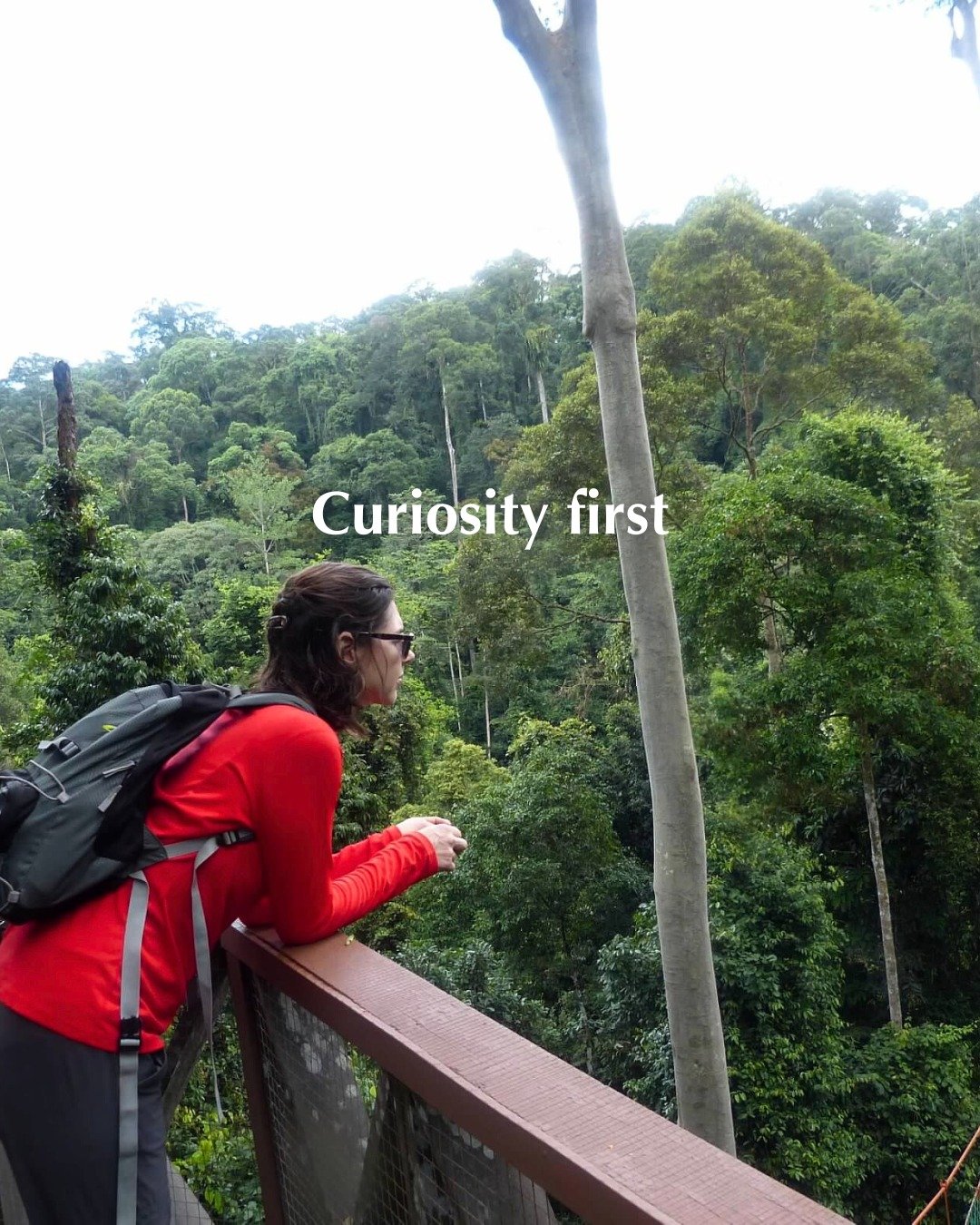 This was taken in Borneo, where I was on a canopy walk deep in the rainforest.

I&rsquo;ve always been drawn to places that invite curiosity. Places where slowing down is often a better choice than covering a lot of ground.

That same approach guides