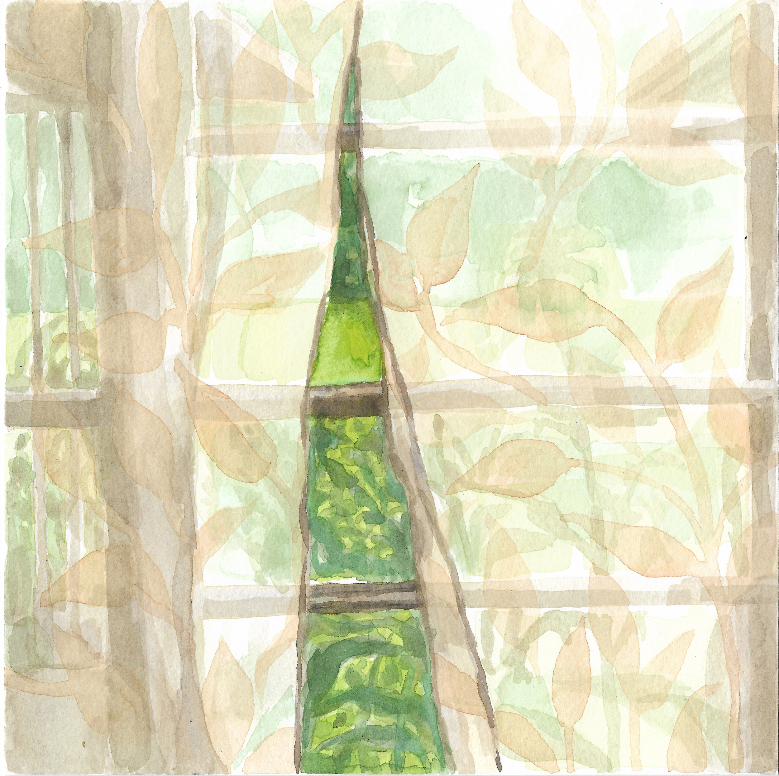mama's curtains