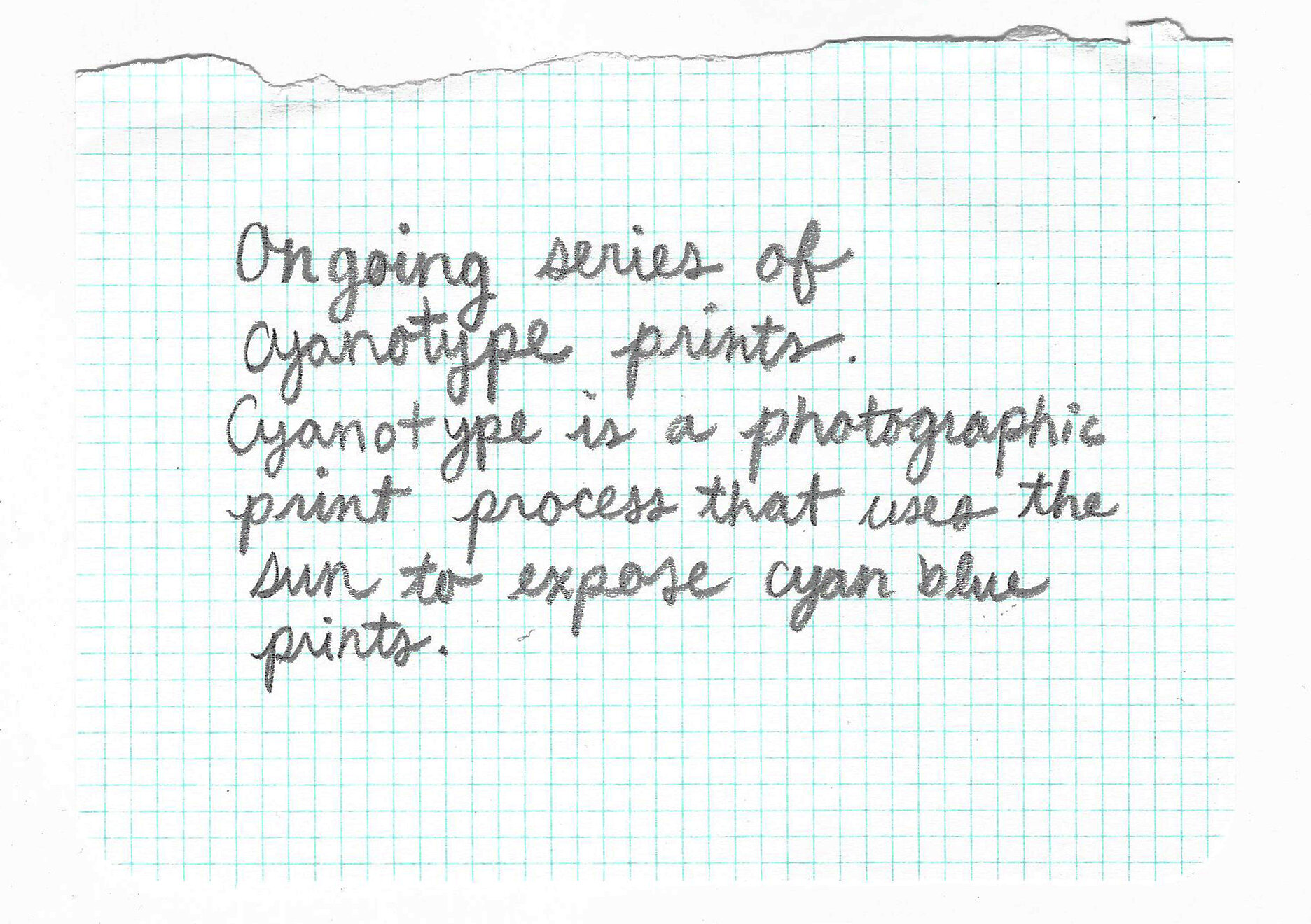 cyanotypes — emma