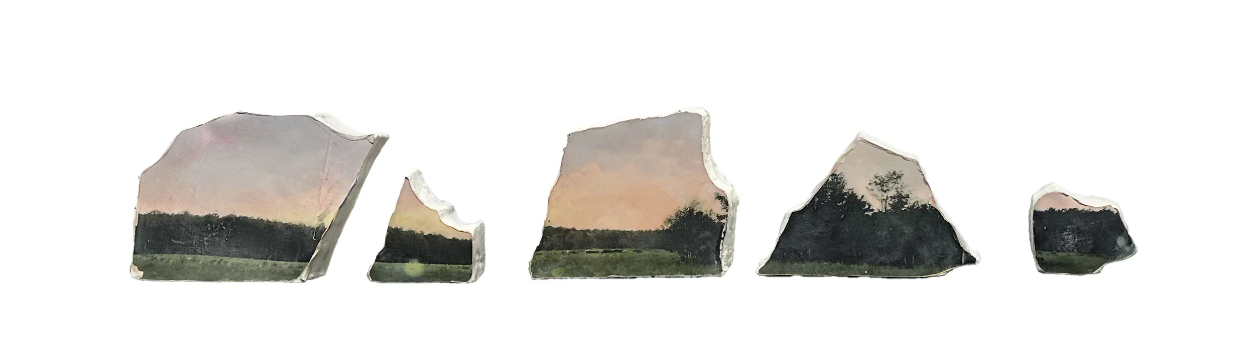 cowfield.jpg