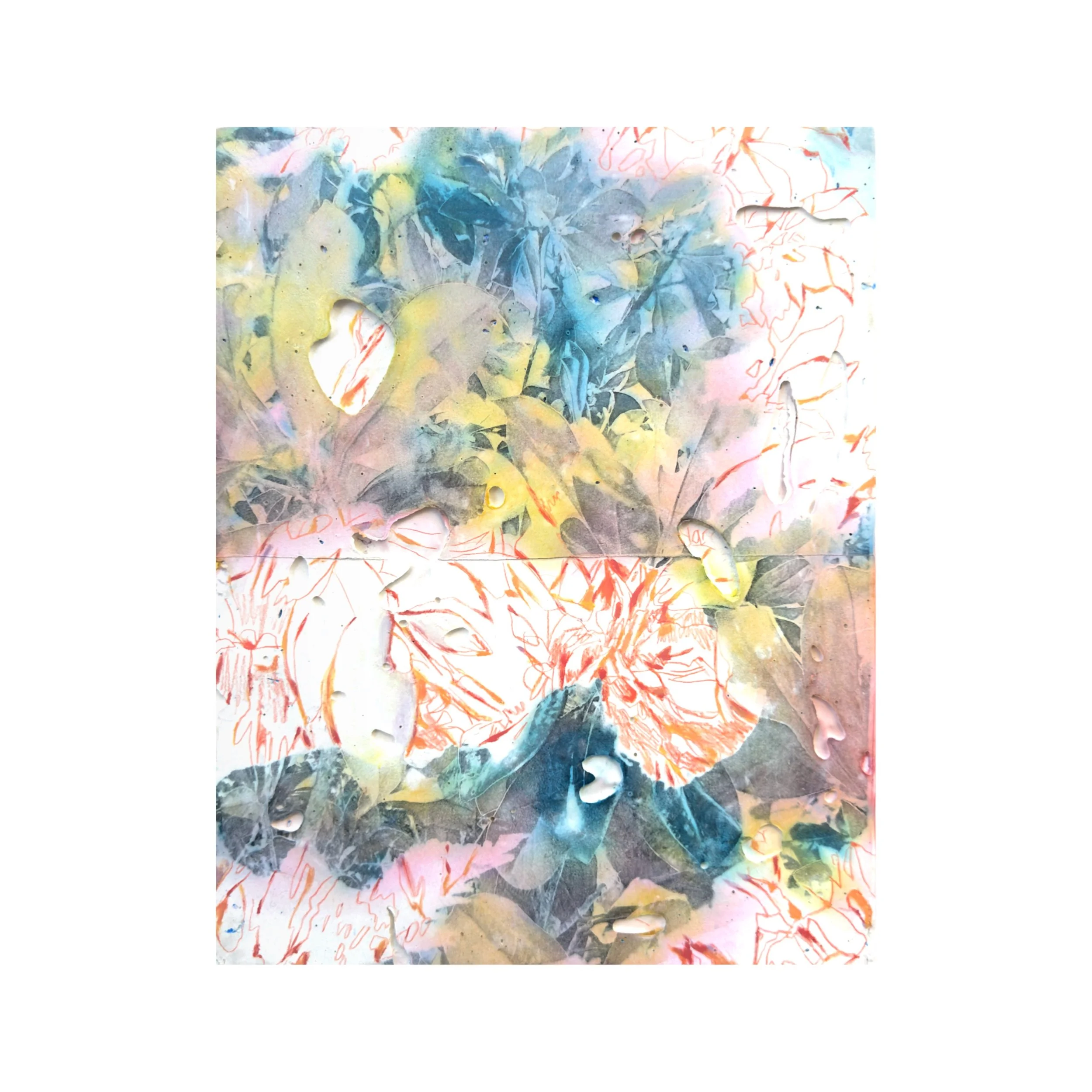 Barnes.Magnolia.Drawing.2026.JPG
