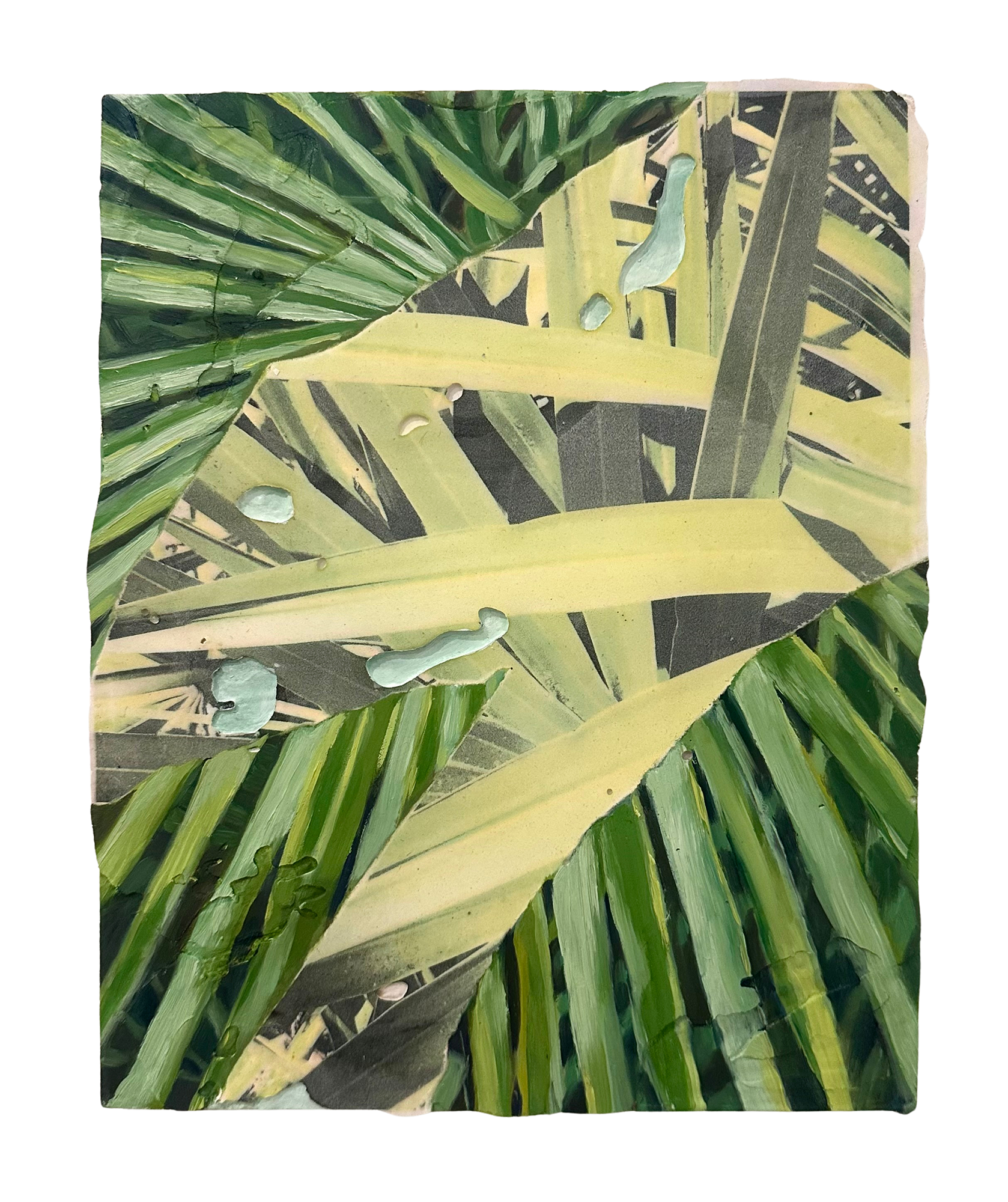 Barnes.Palm.Fronds.2026.PNG