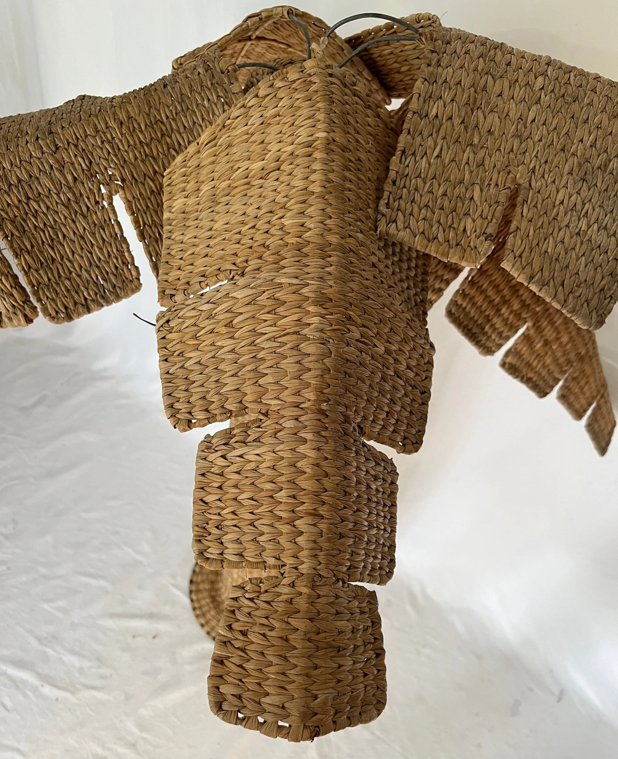 D7E2FBE2-2575-41F9-9ED9-678DDF9BB40F