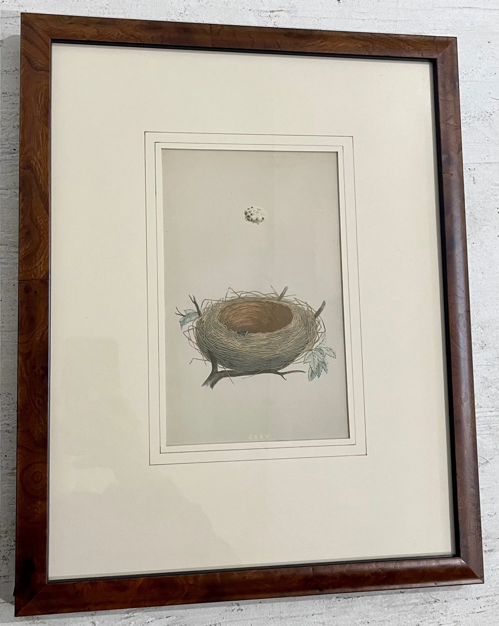 BD44C332-944C-46BC-BF99-9D0183237970