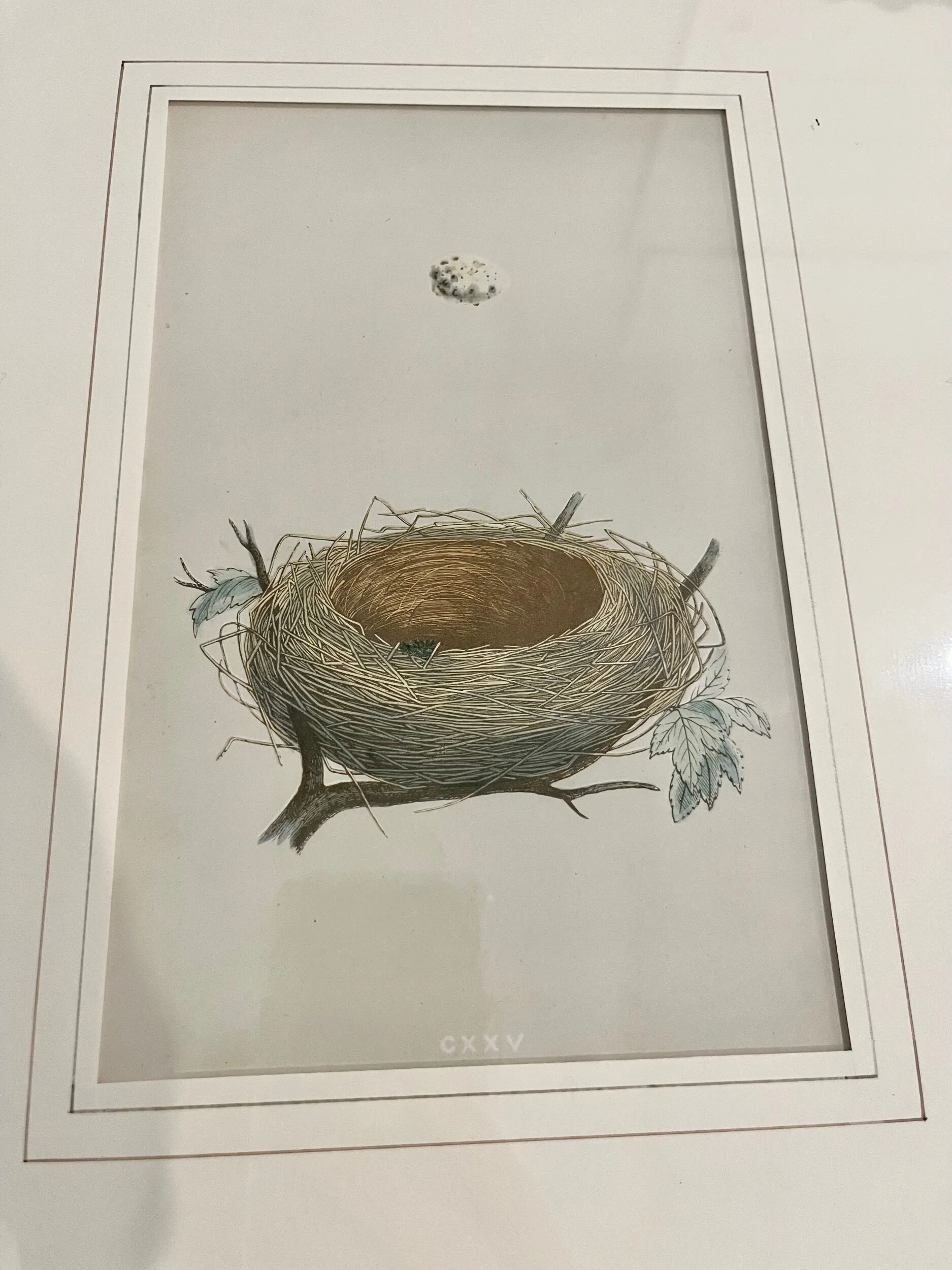 BE56C2CA-9B25-46BA-BD7B-144CA47E1BF0