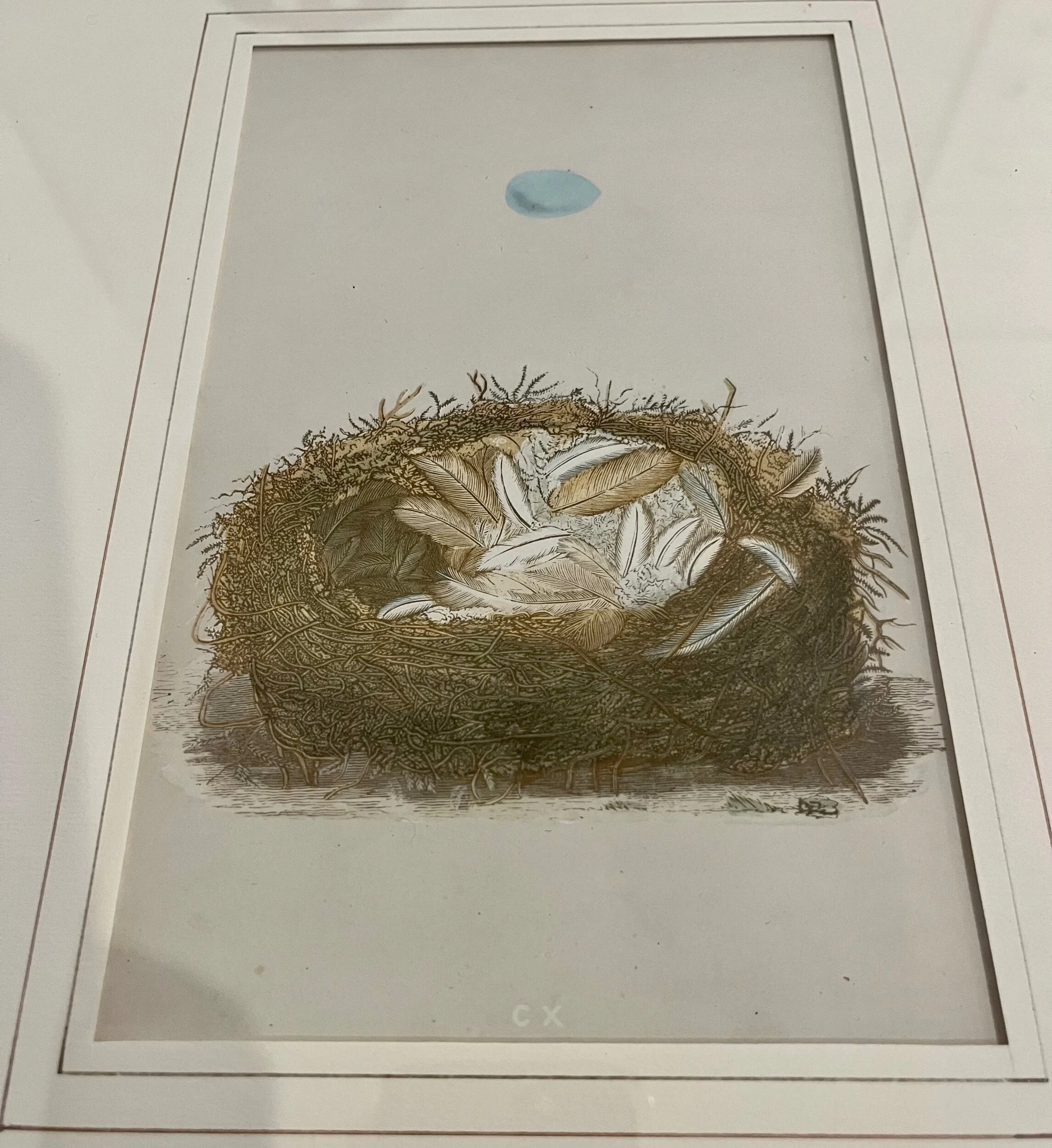 0968ACAC-0AA1-4614-8795-F6ECB6B135B5