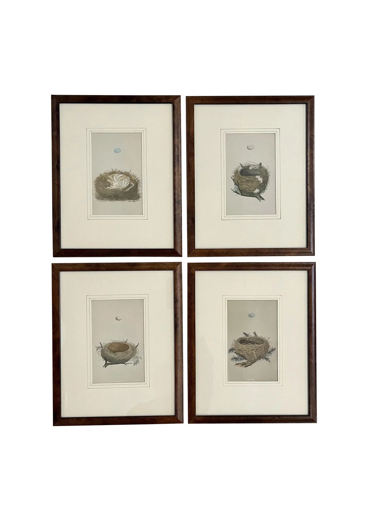 19F4230F-0ABA-4D49-93B1-C3E4D87BDDE3