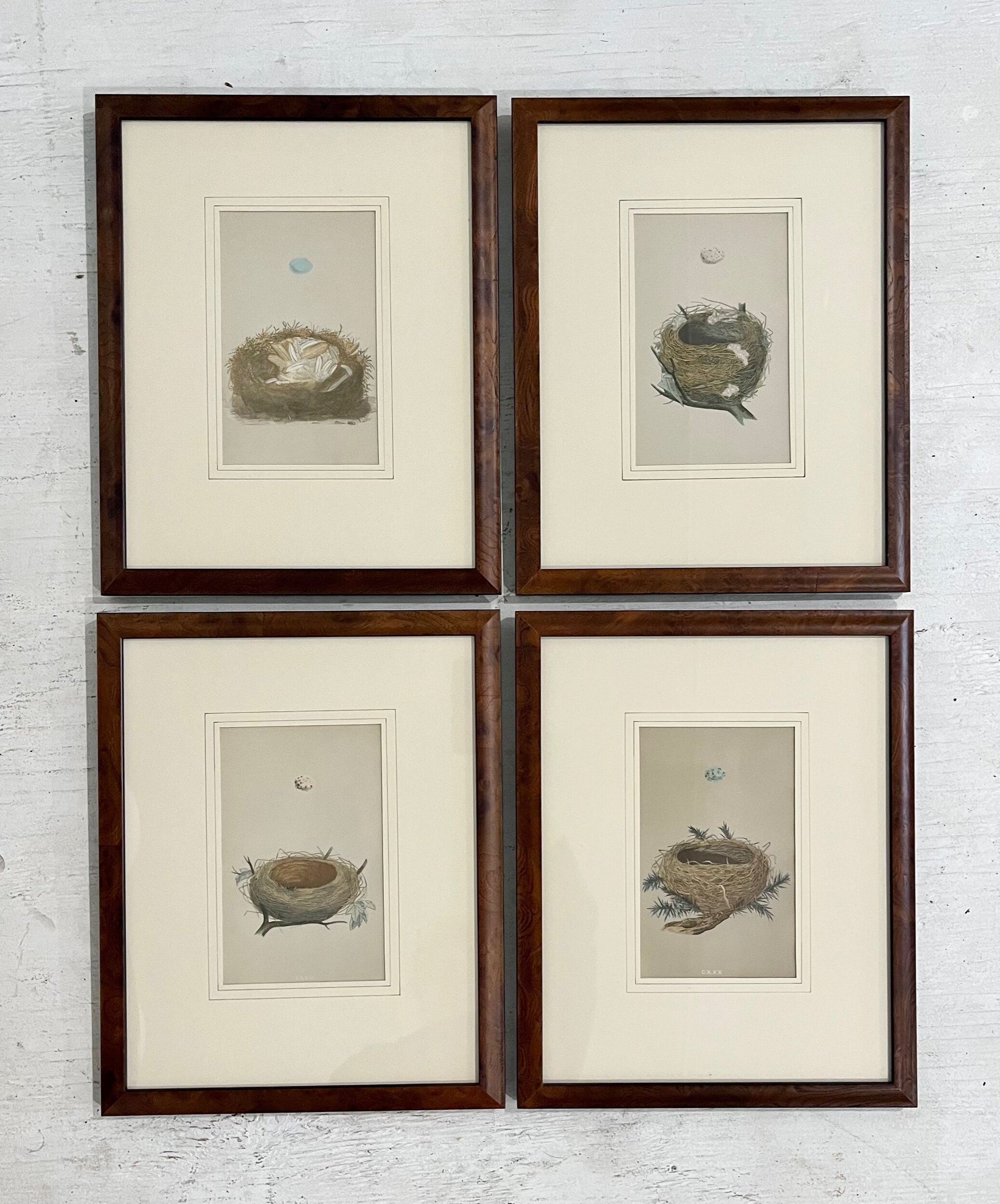 AC0BCDCF-EBC6-4FA7-96EB-C8EAD9D8777B