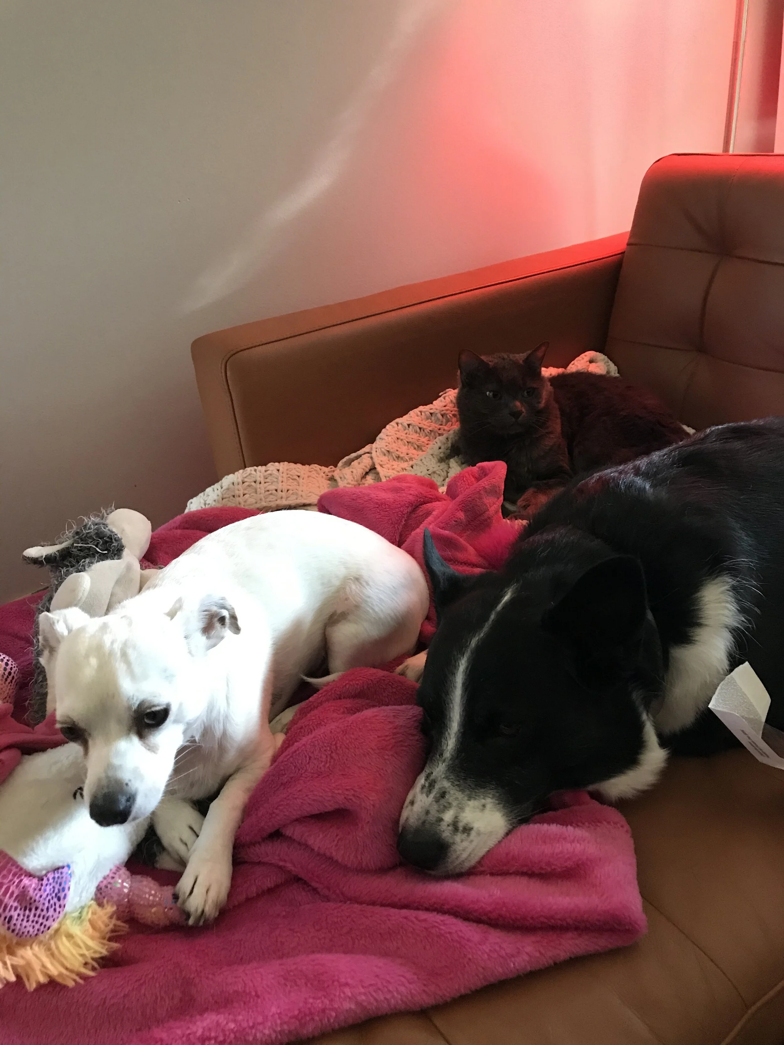 my husband and his friends exchange