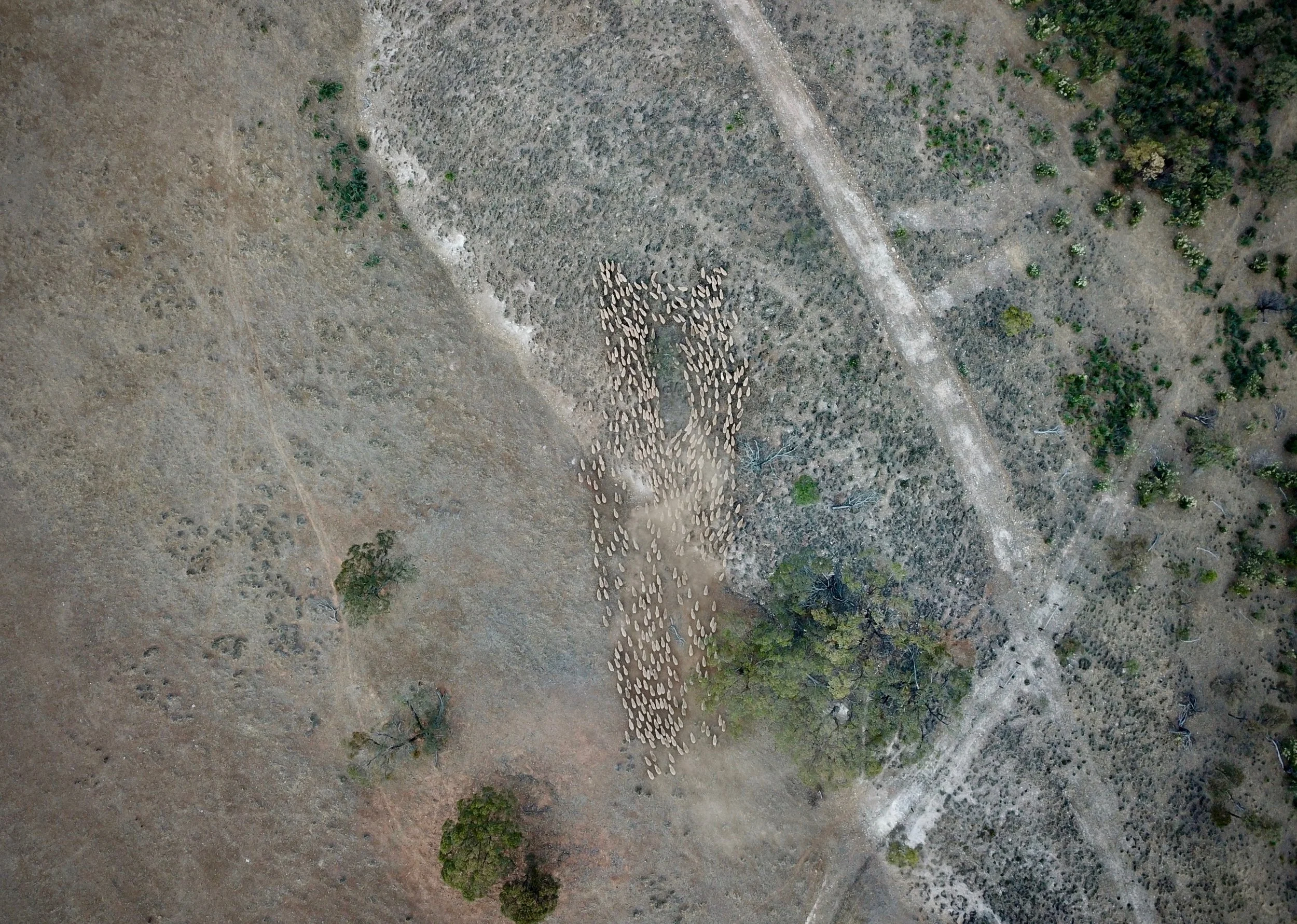 DJI_0042.jpg