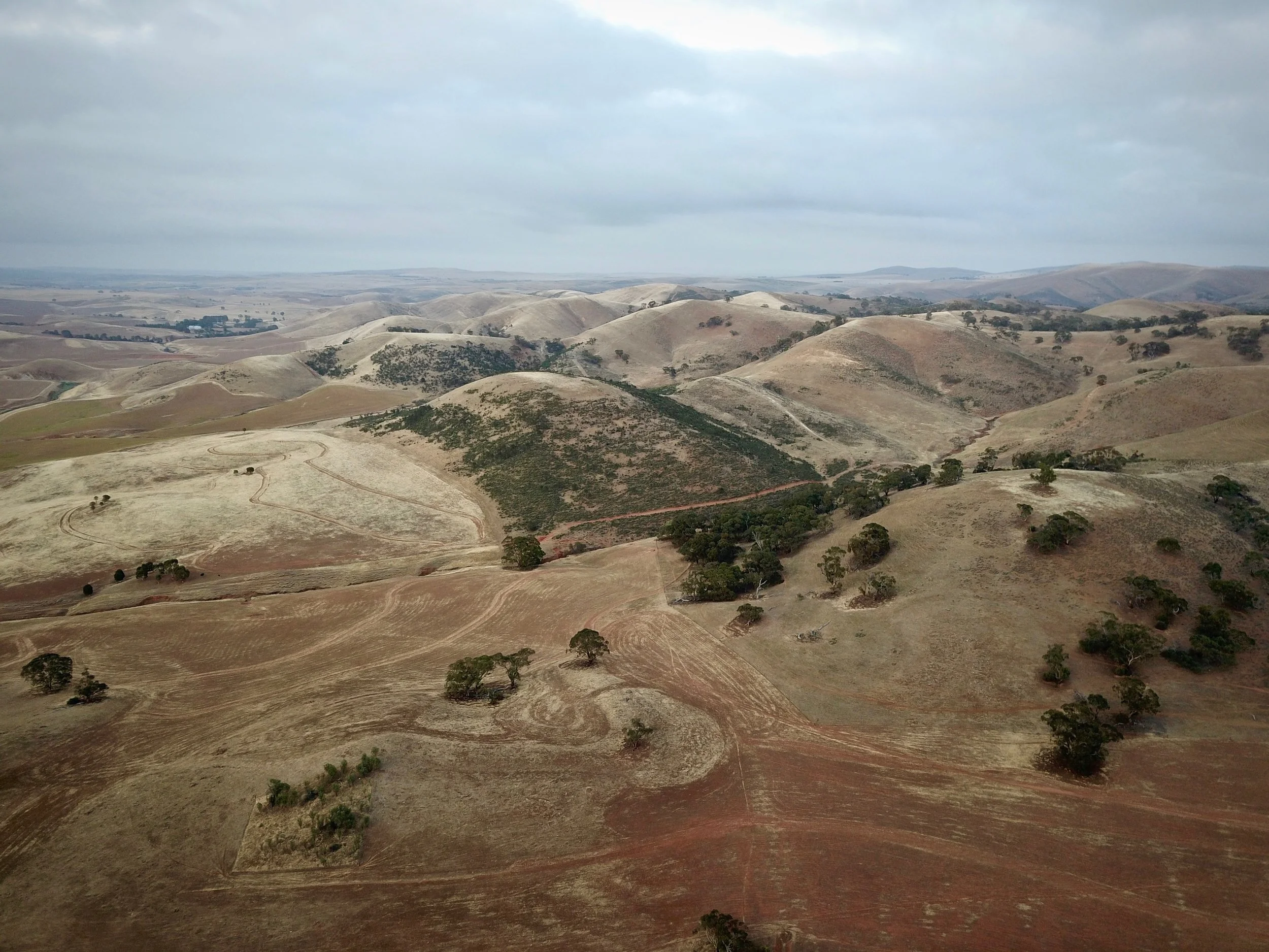 DJI_0030.jpg