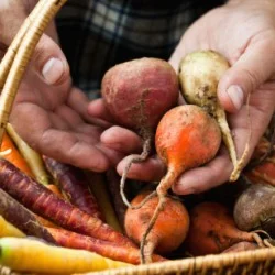 How to Practice Mindful Eating