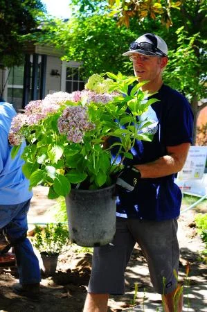 Press Tribune: Wellness Within gets a beautiful new garden