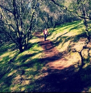 Healing Nature Walks