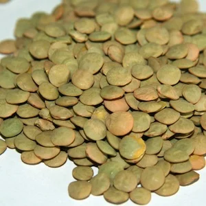 Lentils: Nutrition-Packed and Fiber-Rich