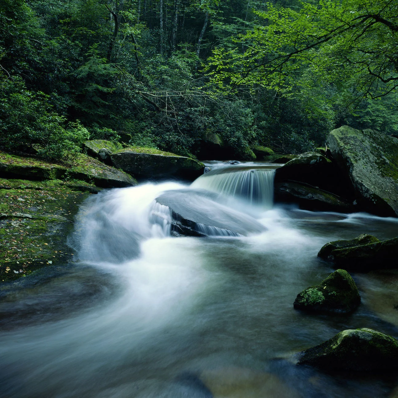Finding the Tranquil Path