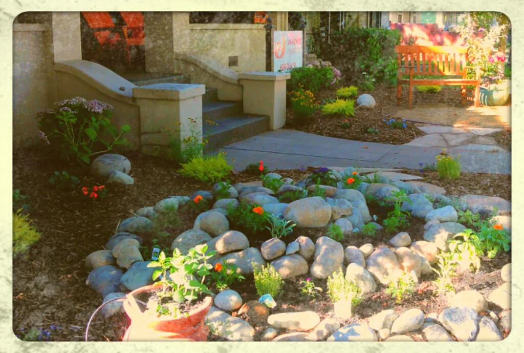 Healing Oasis - Press Tribune