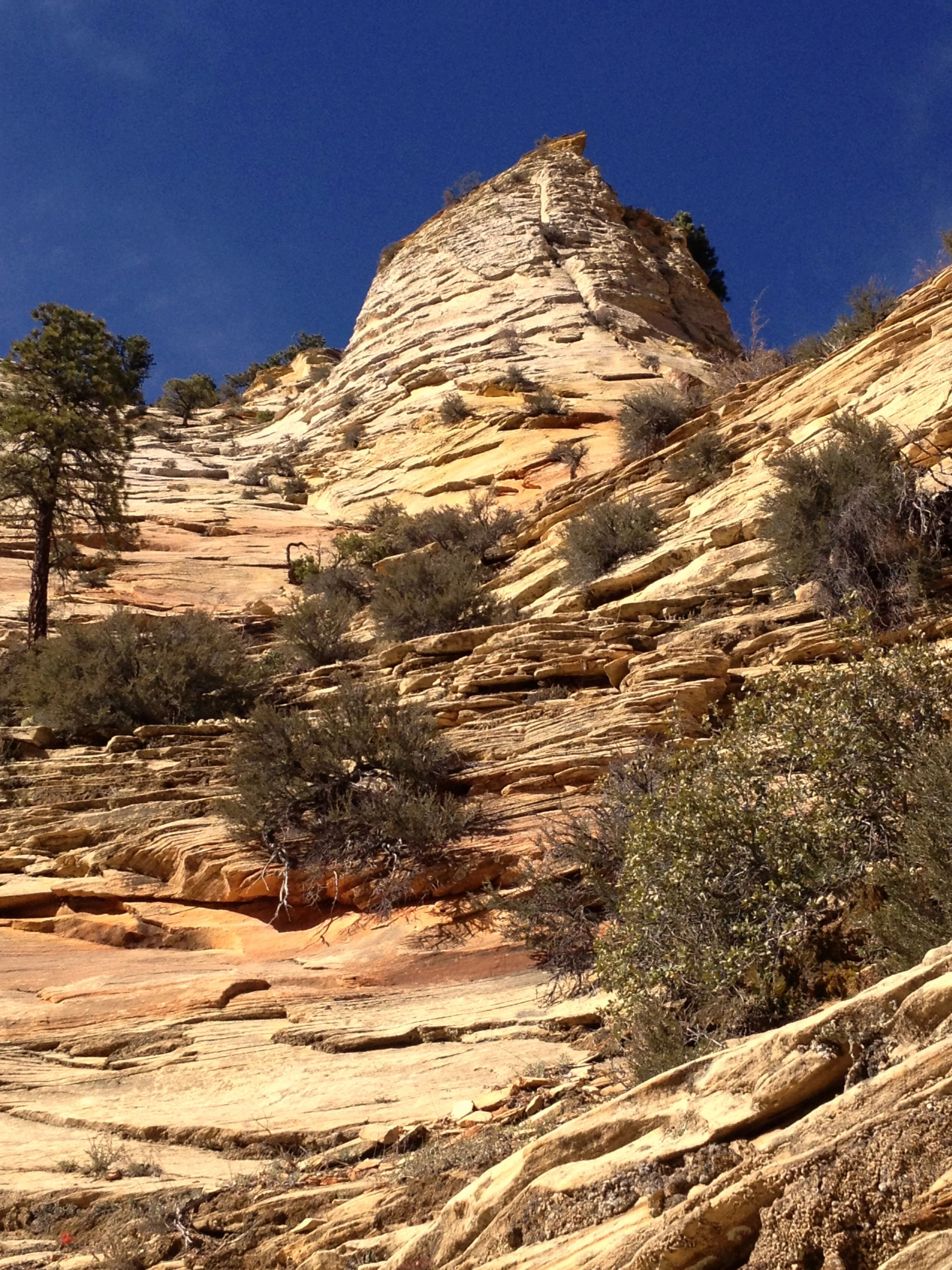 Breathing Space in Nature