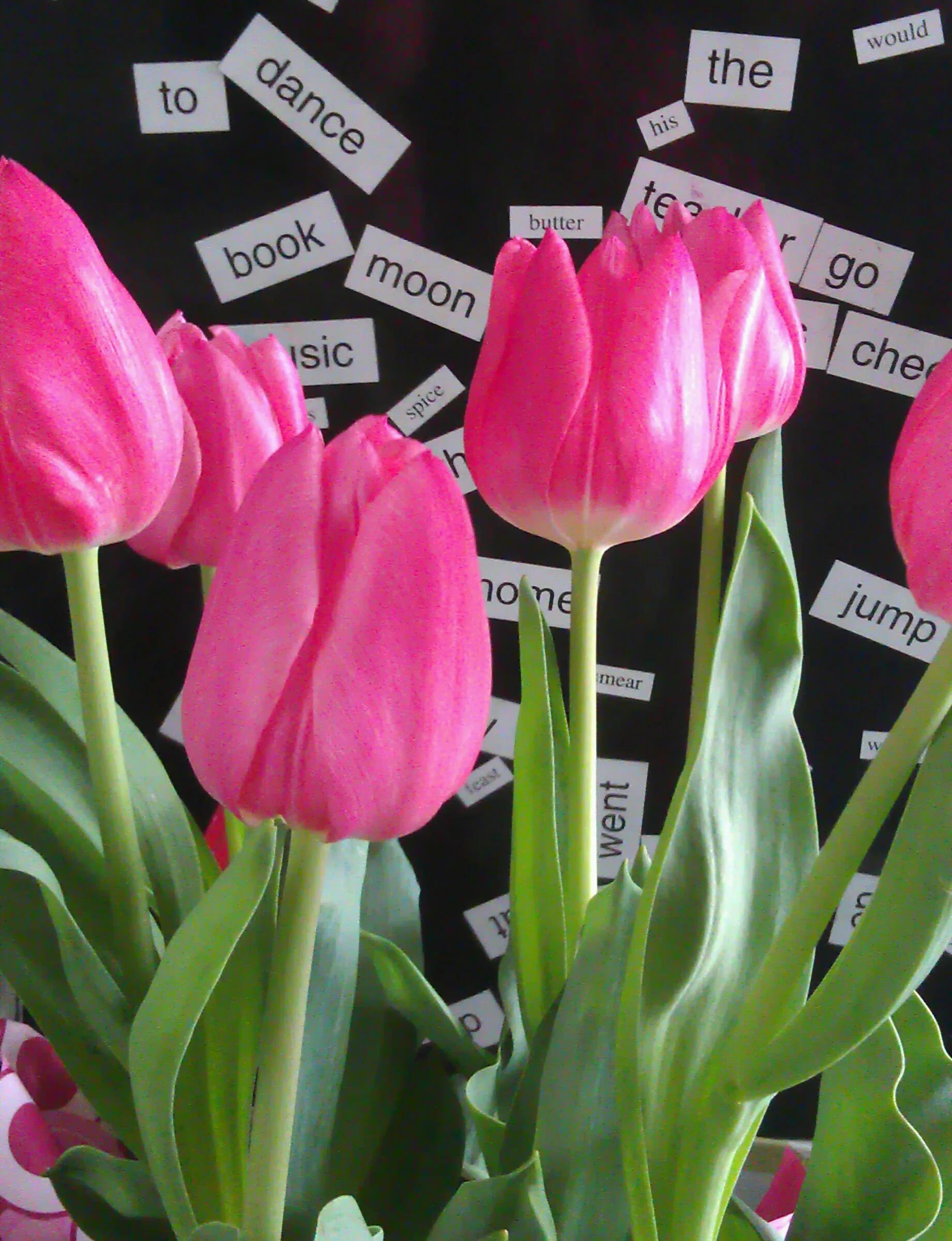 May in the Arts