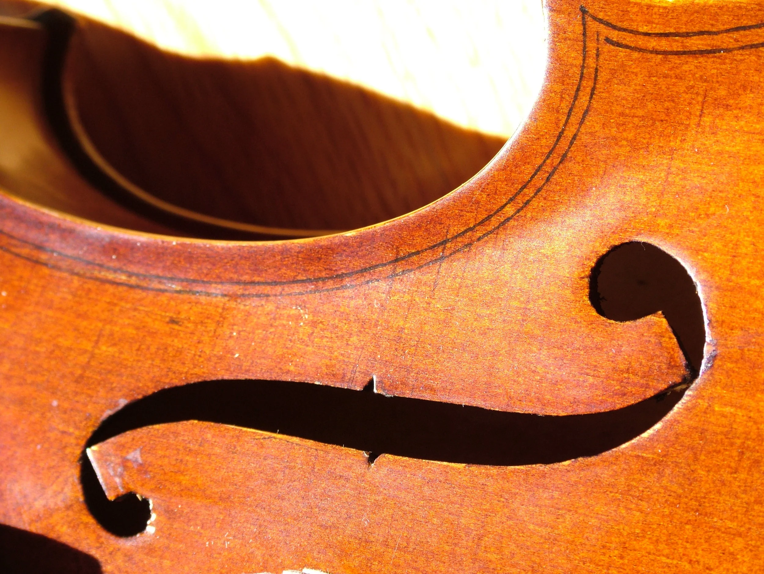 Music & Motion