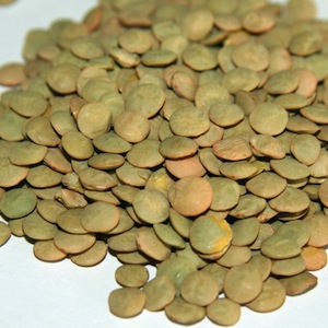 green_lentils1.jpg