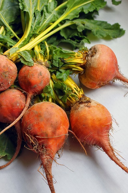 beets-366560_640.jpg