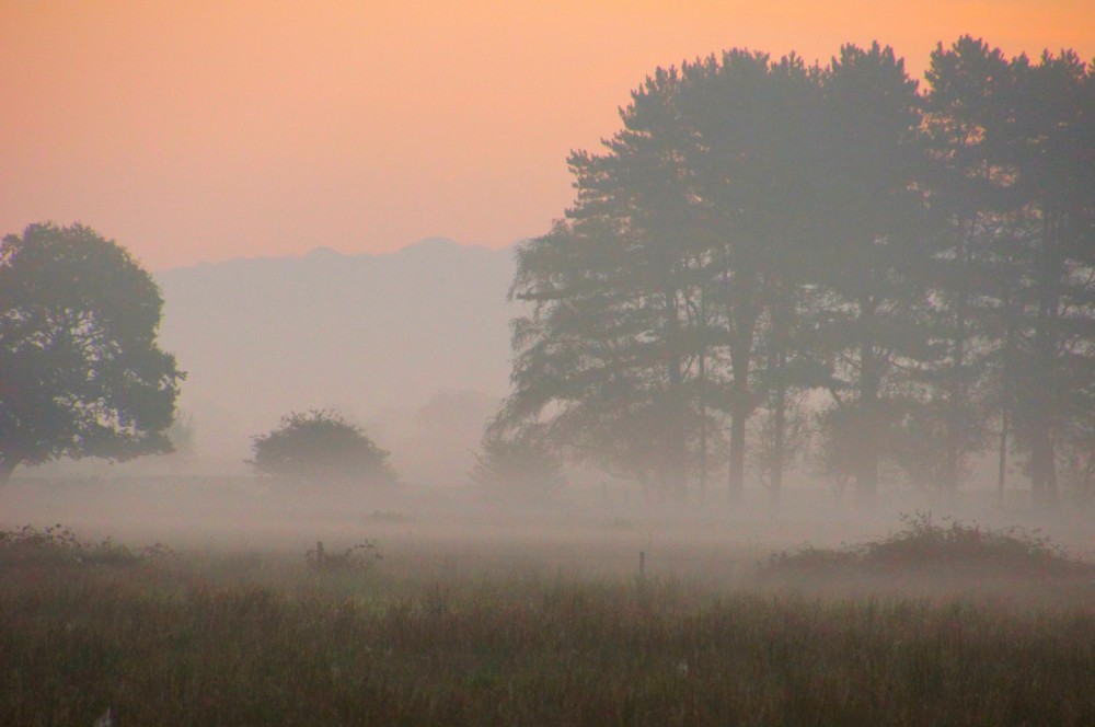 Misty-02-10-11-_0024-e1459453240250.jpg