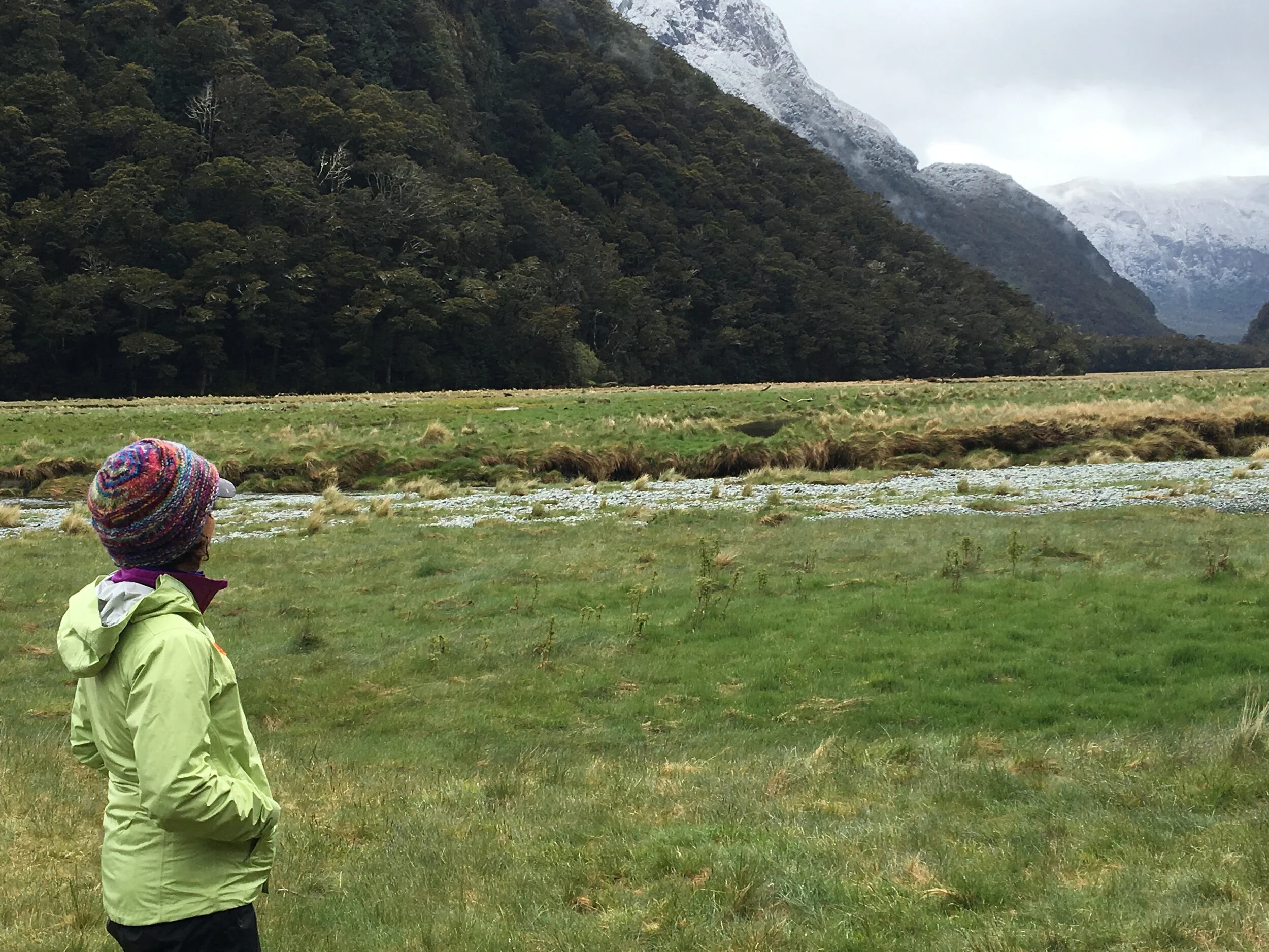 2020 Reflections from Founder Patti Brown