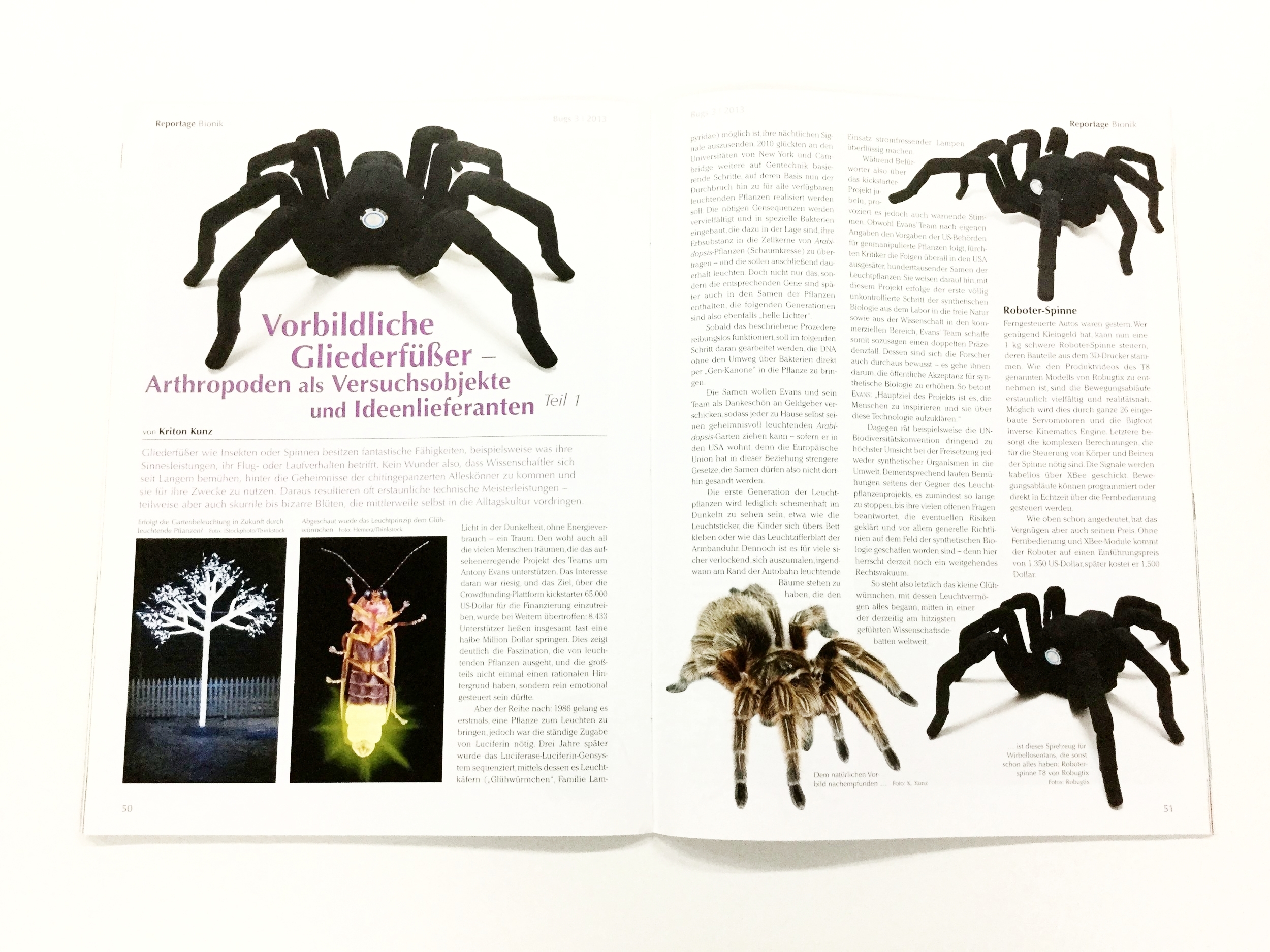 Bugs (p.51) - The T8 compared to real-life tarantulas