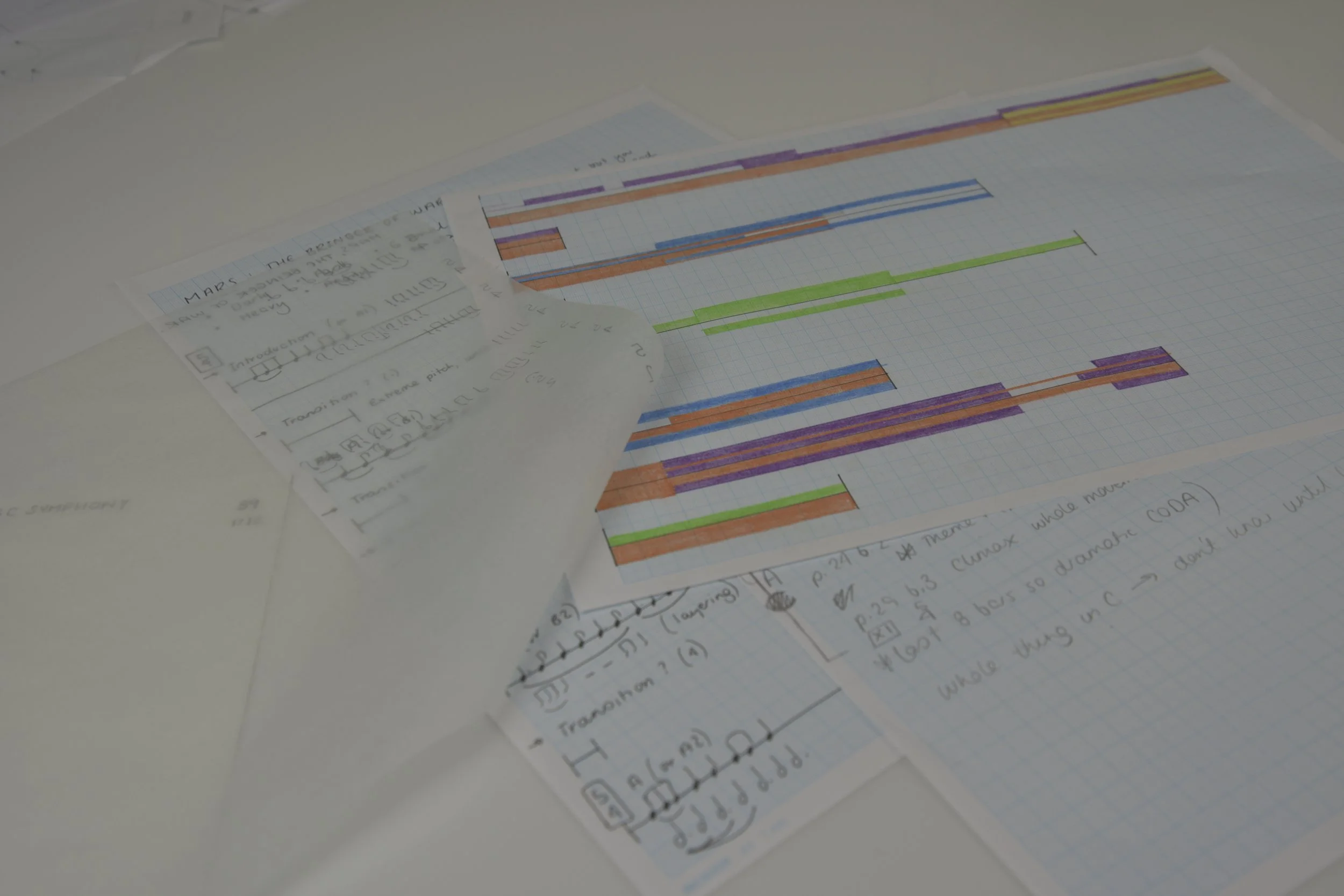 Figure 5.7: Carly Vickers, 2017. 