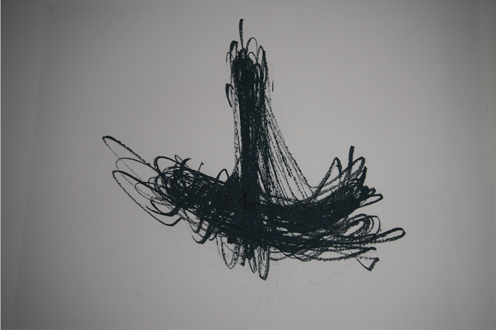 Figure 5.11: Carly Vickers, 2017. 