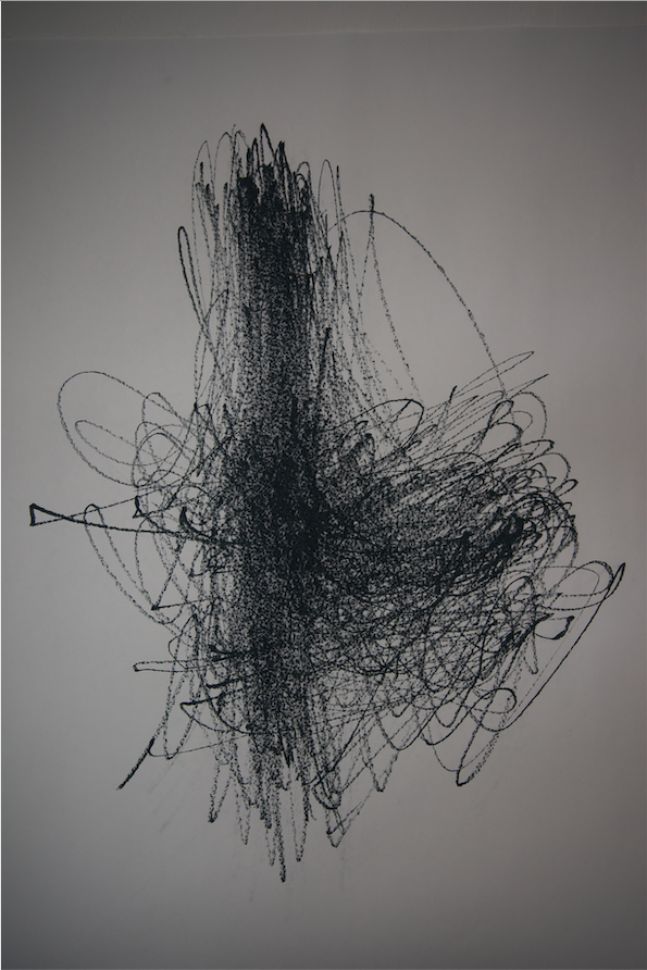 Figure 5.12: Carly Vickers, 2017. 