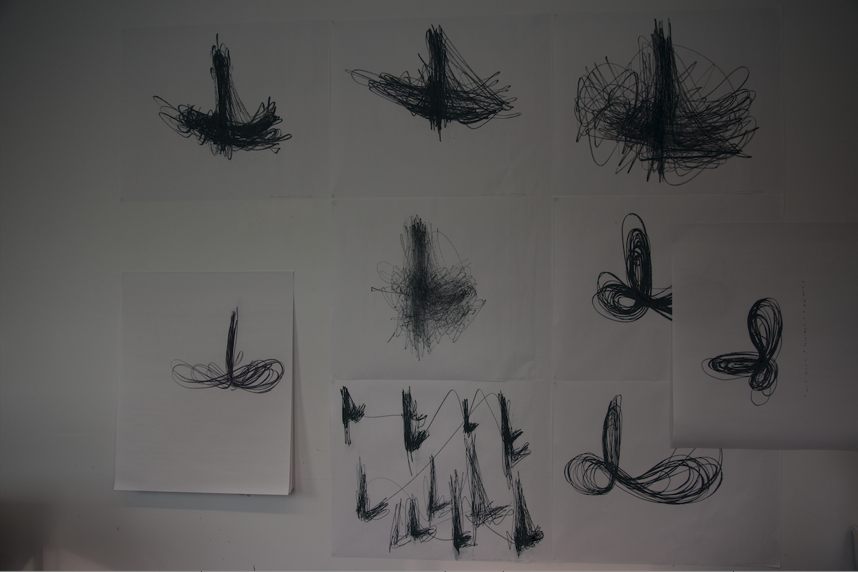 Figure 5.14: Carly Vickers, 2017. 