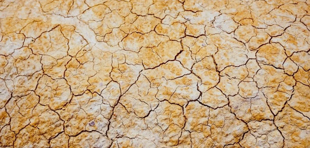 Dry Season Workshop at Gairdner 