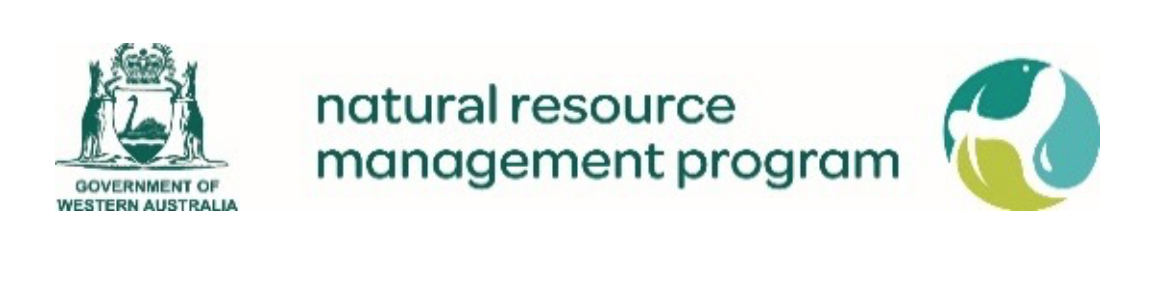 Screen Shot 2018-12-16 at 9.37.10 PM.png