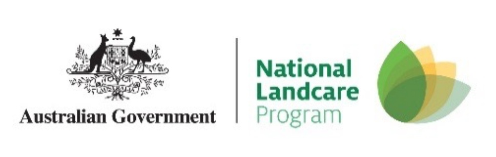 Screen Shot 2018-12-16 at 9.36.43 PM.png