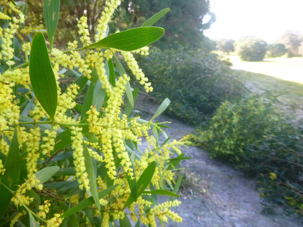 Expressions of Interest: Bremer Bay Volunteer Weed Action Group