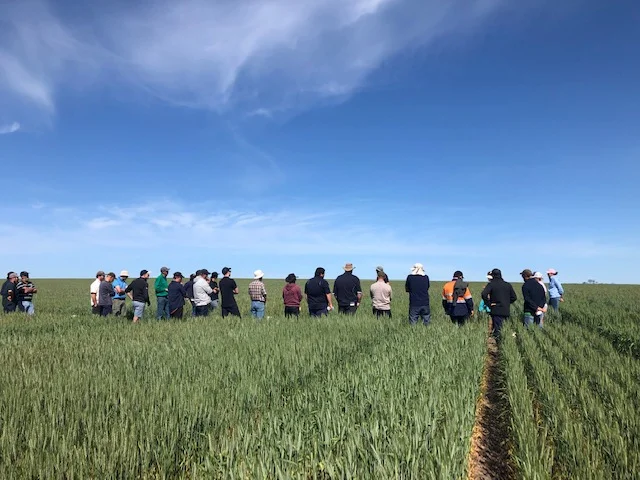 2019 Spring Field - 17 September